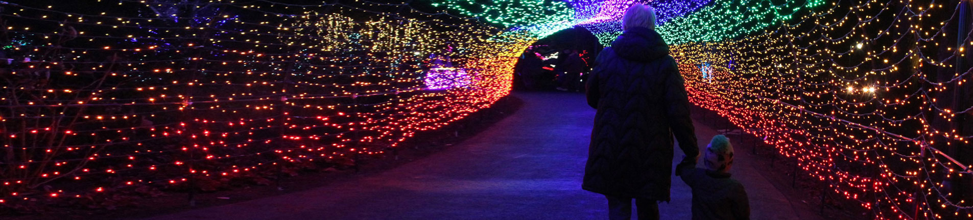arch made of colored lights
