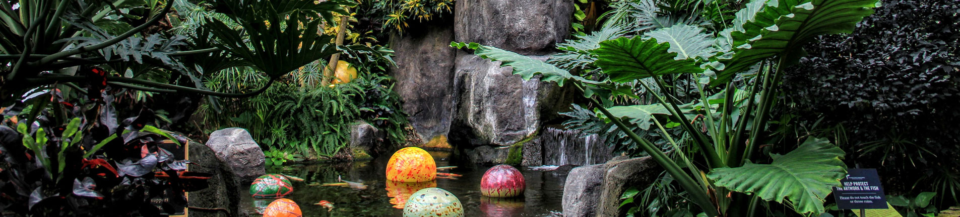 botanical gardens, pond with colored balls