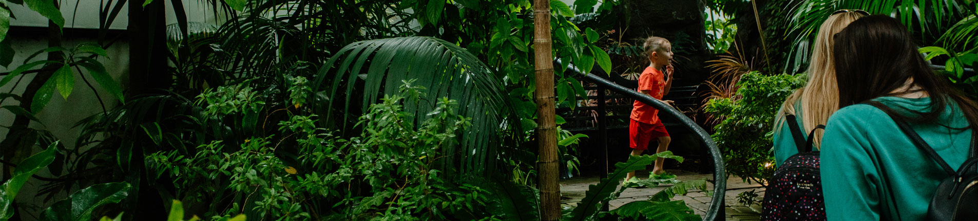 visitors at the green house