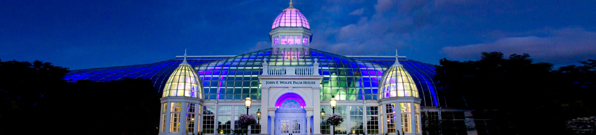 green house with lights