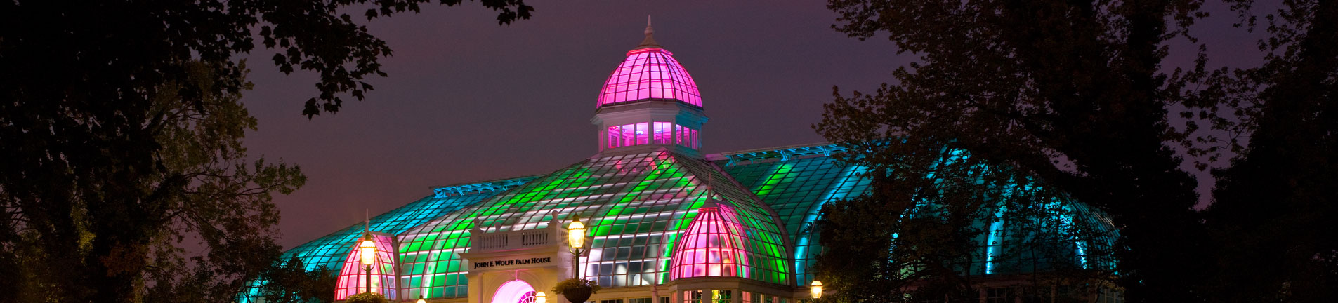 greenhouse light with multi colors at night