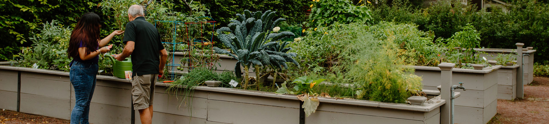 working at the gardens