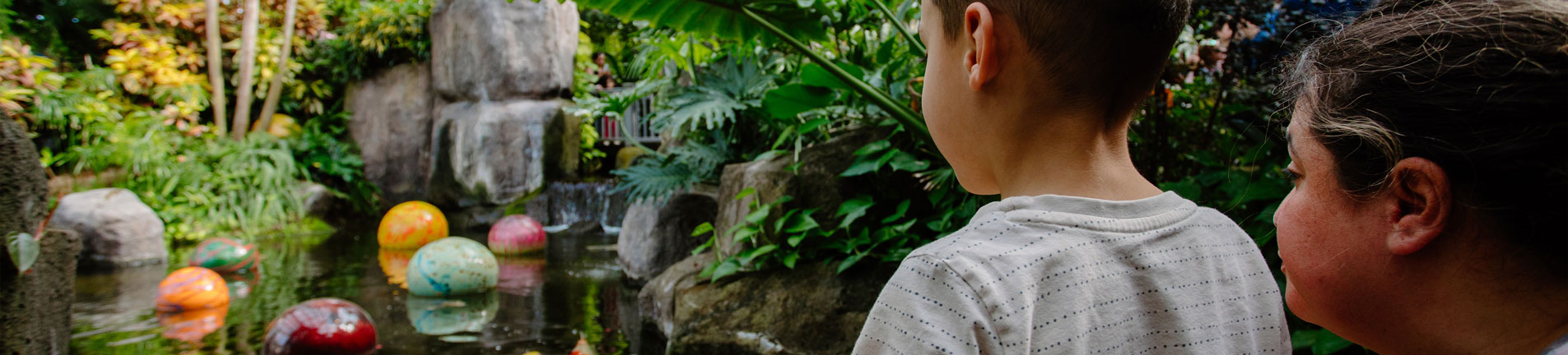 children looking at the pond with colorful balls