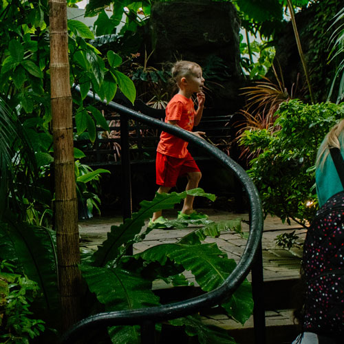 visitors at the green house