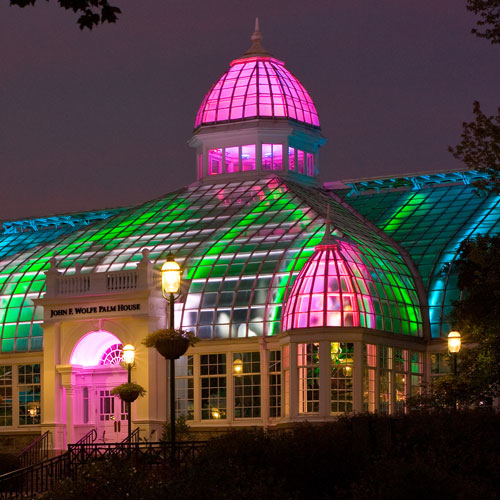greenhouse light with multi colors at night