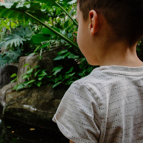 children looking at the pond 